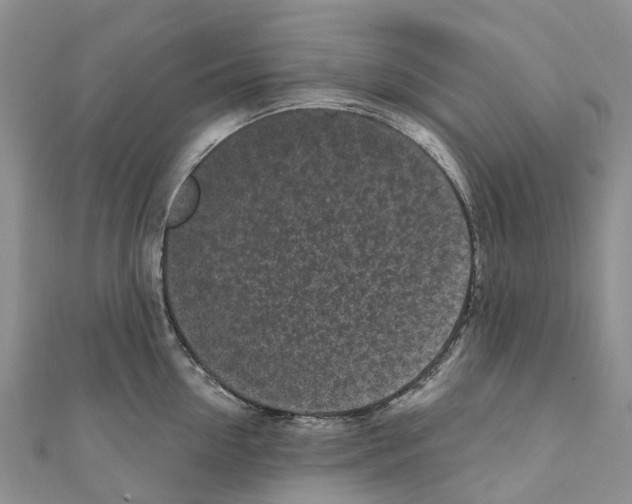 X0000110720954200907241204