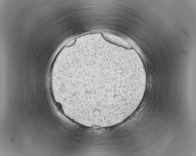 X0000110720955200907241204