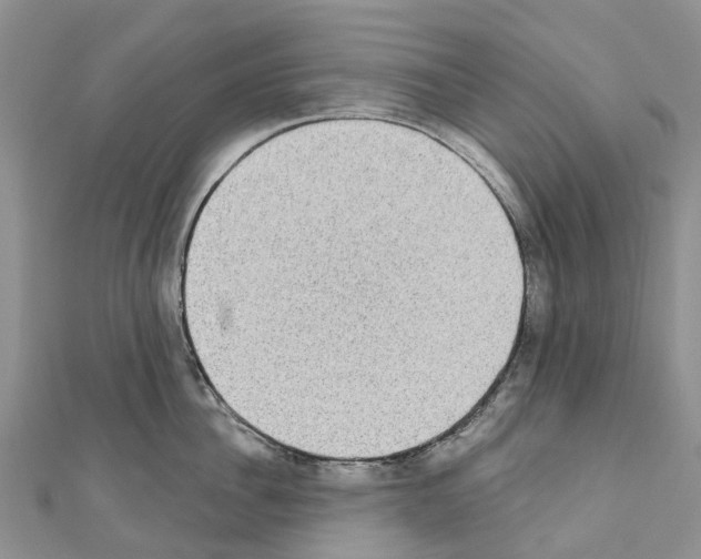 X0000110720956200907241204