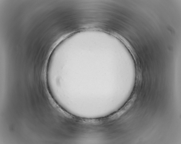 X0000110720957200907241204