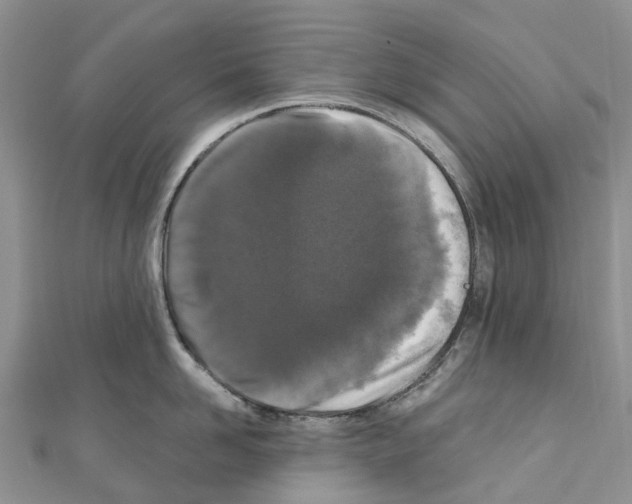 X0000110720958200907241204