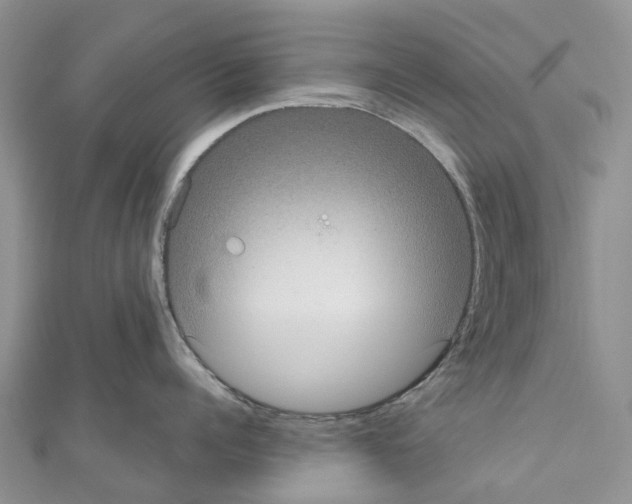 X0000110720960200907241204