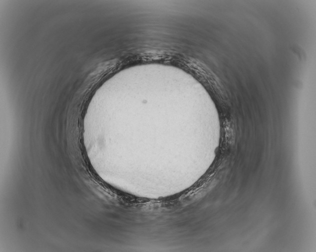 X0000110720961200907241203