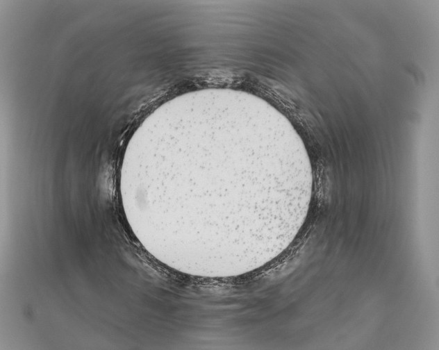 X0000110720962200907241203