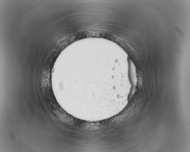 X0000110720964200907241203