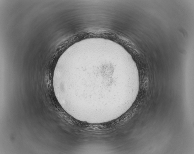 X0000110720966200907241203