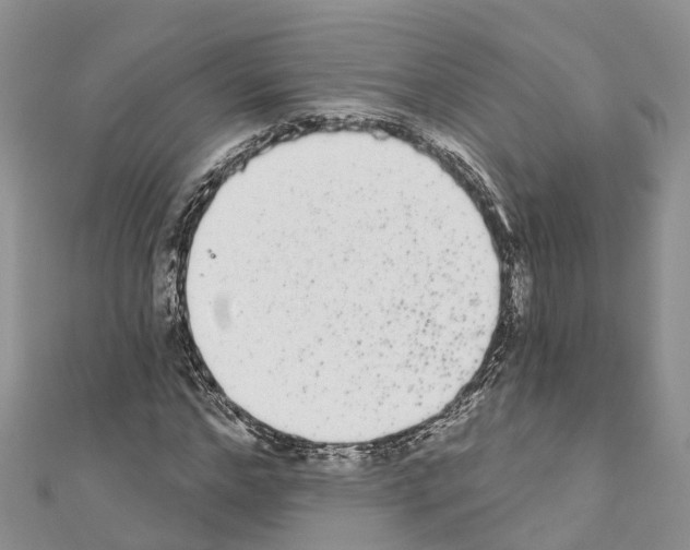 X0000110720968200907241203