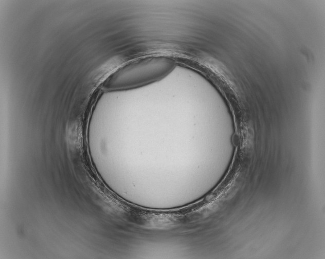 X0000110720969200907241203