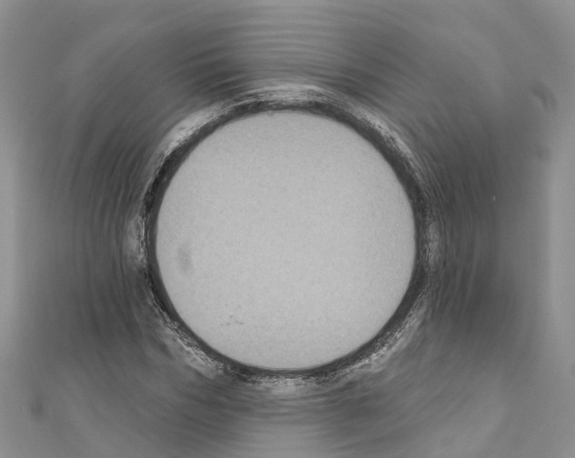 X0000110720970200907241203