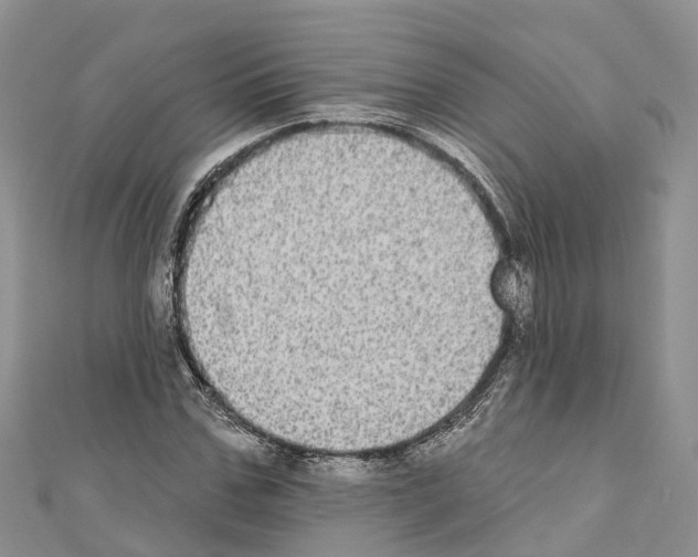 X0000110720971200907241203