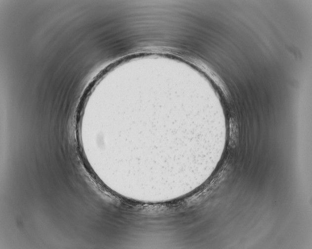 X0000110720972200907241203