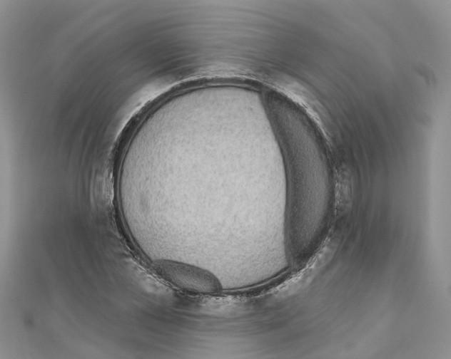 X0000110720973200907241203