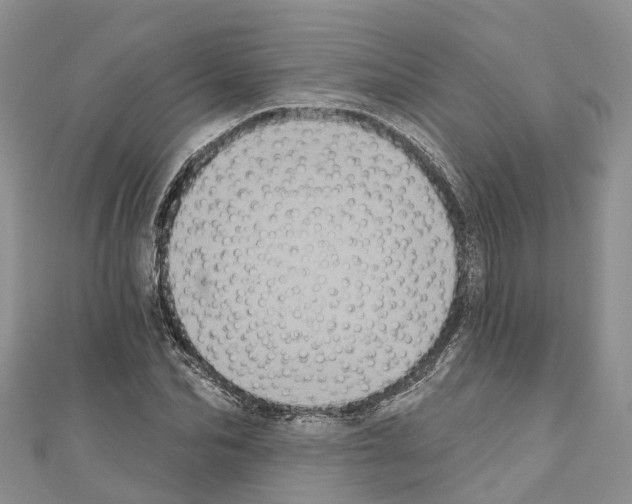 X0000110720974200907241203