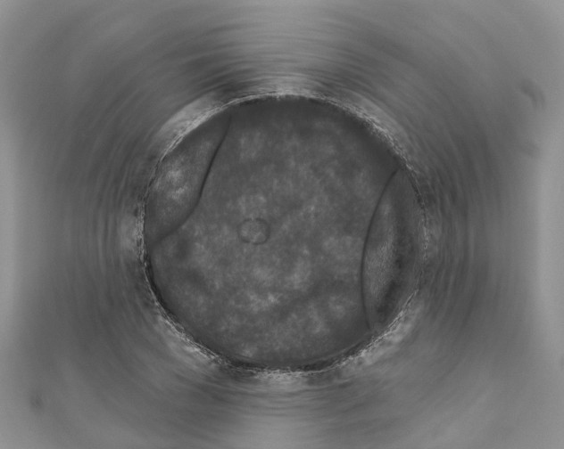 X0000110720977200907241203