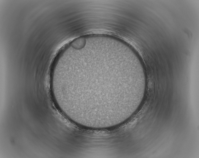 X0000110720979200907241203