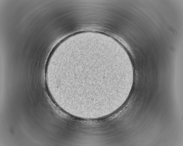 X0000110720980200907241203