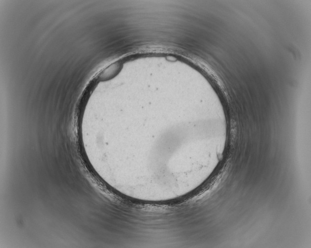 X0000110720981200907241203