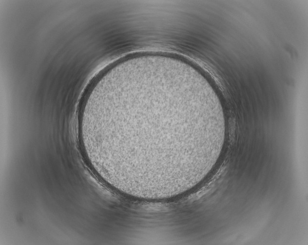 X0000110720982200907241203