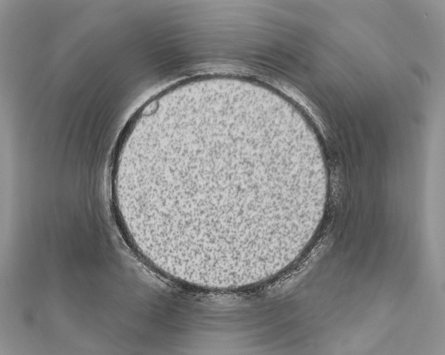 X0000110720983200907241203