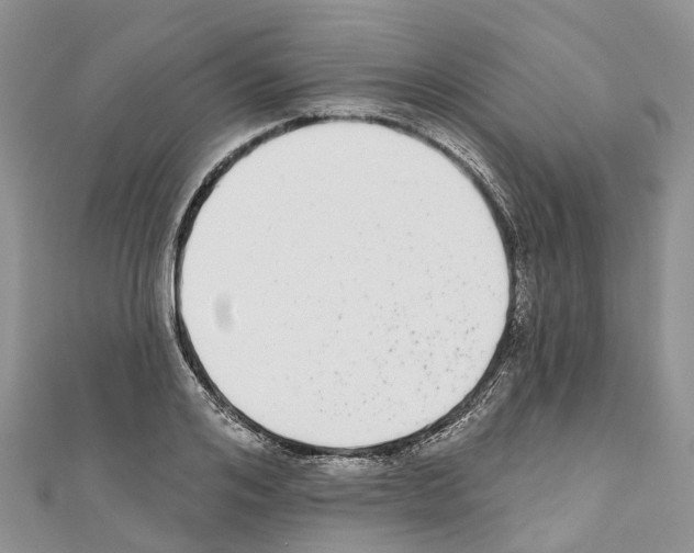 X0000110720984200907241203