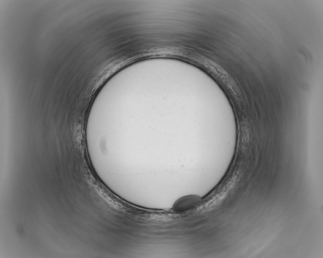 X0000110720985200907241203