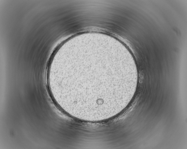 X0000110720987200907241203