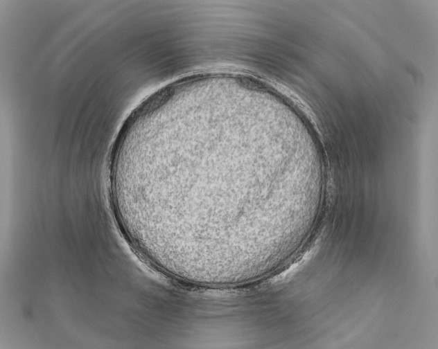 X0000110720989200907241203