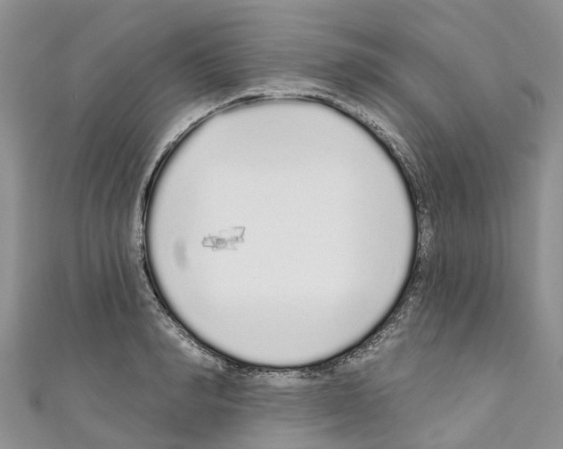 X0000110720990200907241203