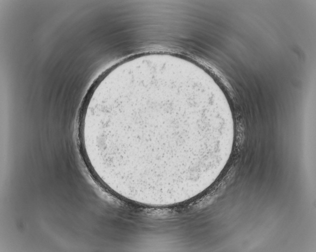 X0000110720991200907241203