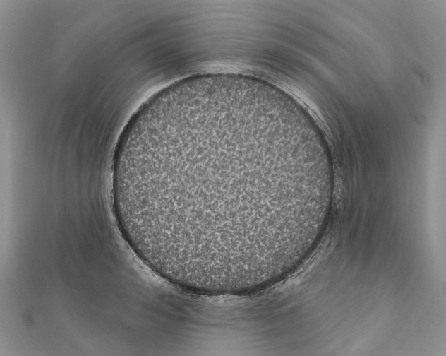 X0000110720992200907241203