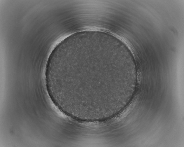 X0000110720995200907241203