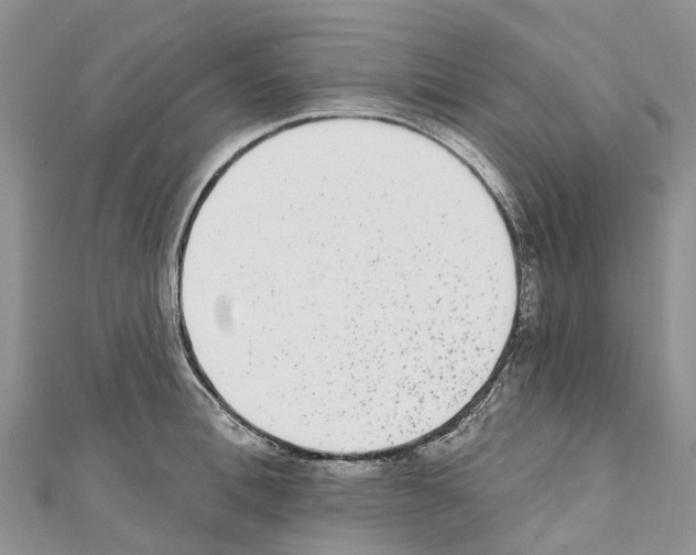 X0000110720996200907241203