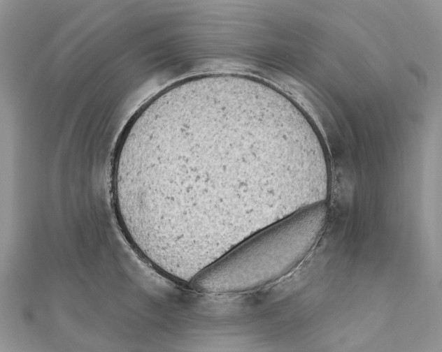 X0000110720997200907241203