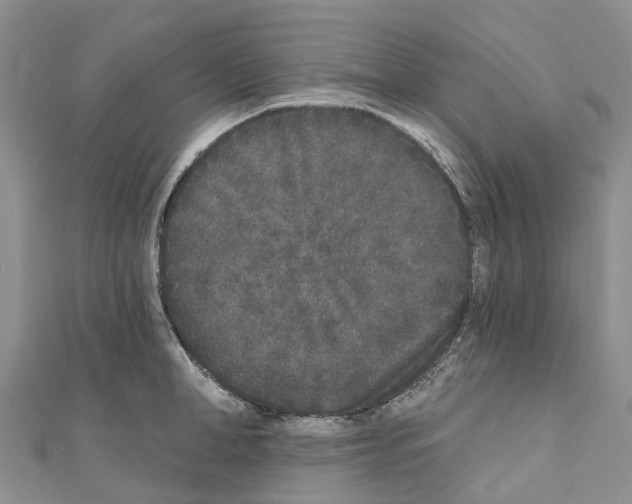 X0000110720998200907241203