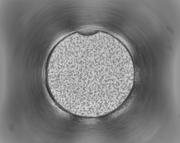 X0000110720999200907241203