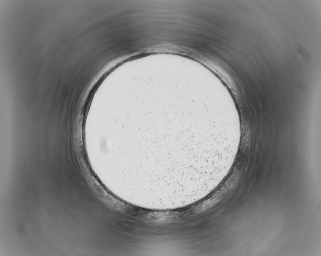 X0000110721000200907241203