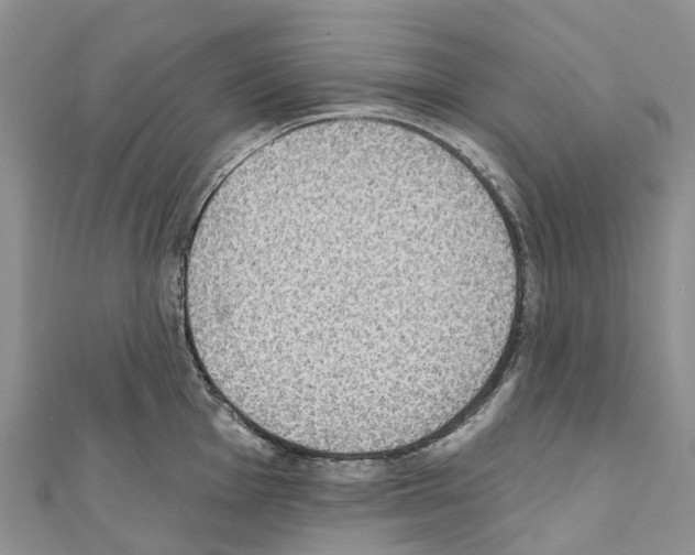 X0000110721001200907241203