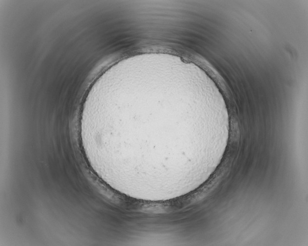 X0000110721002200907241203