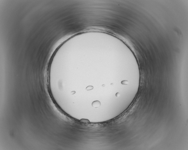 X0000110721003200907241203