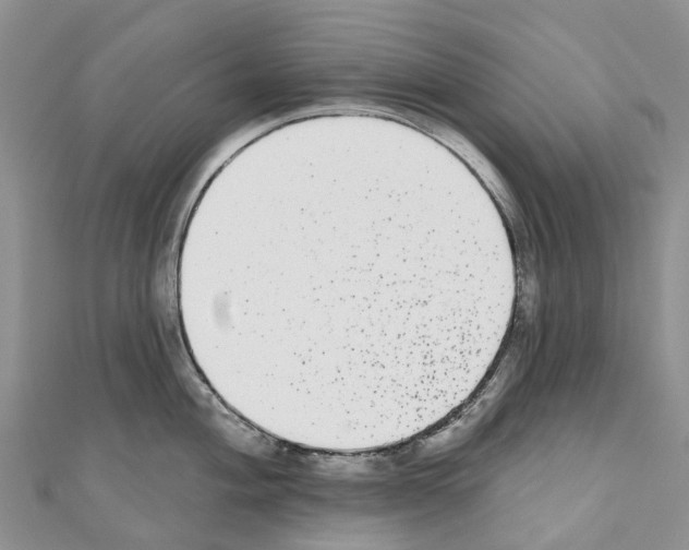 X0000110721004200907241203