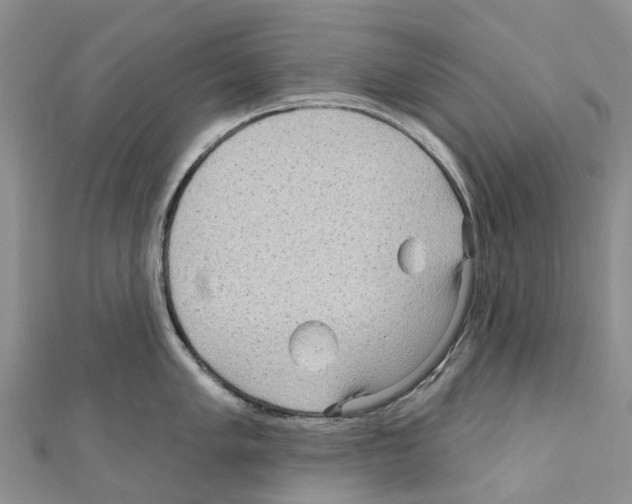 X0000110721005200907241203