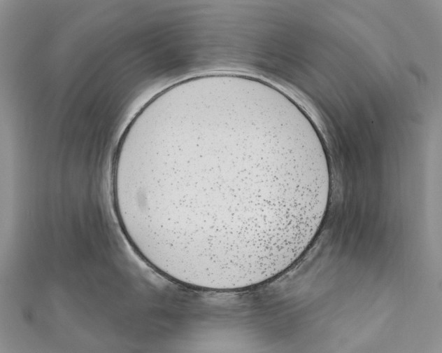 X0000110721006200907241203