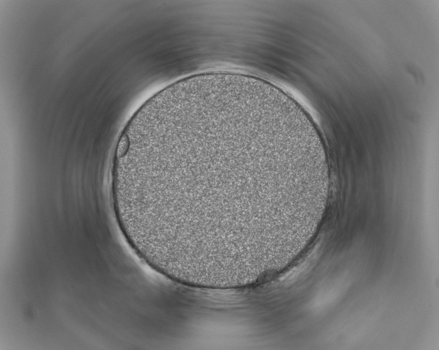 X0000110721007200907241202