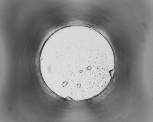 X0000110721008200907241202