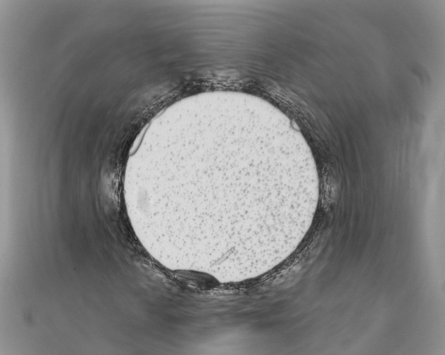 X0000110721010200907241202