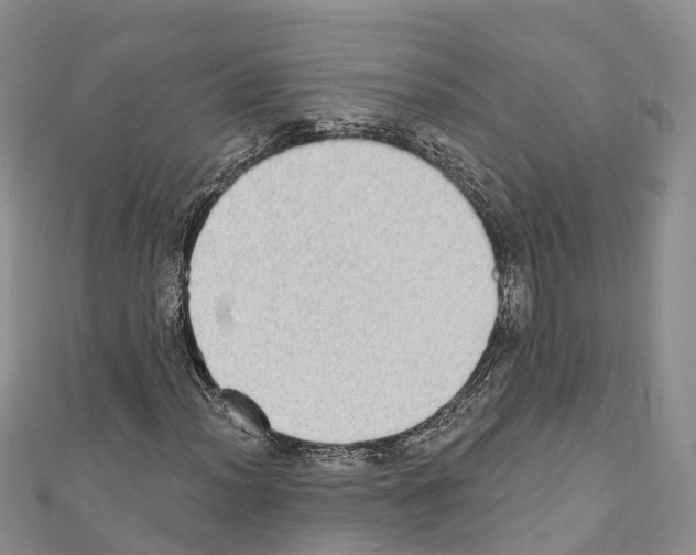 X0000110721012200907241202