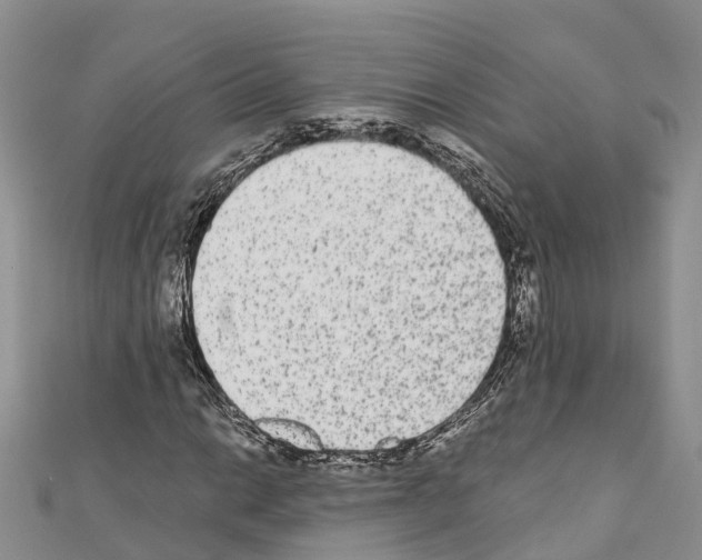 X0000110721014200907241202