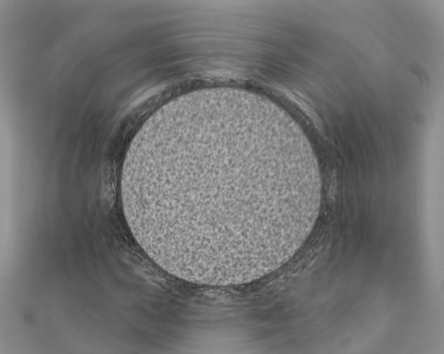 X0000110721015200907241202