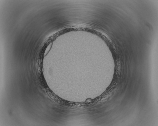 X0000110721016200907241202