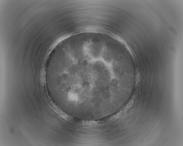 X0000110721019200907241202